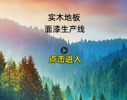 實木地板面漆生產(chǎn)線（一）