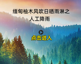 緬甸柚木風吹日曬雨淋之人工降雨