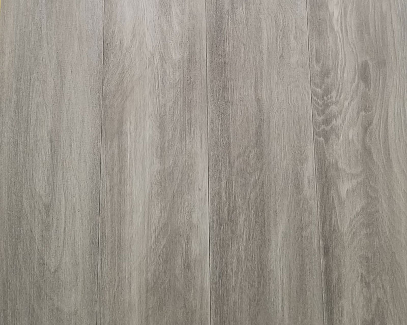樺木SG7701
